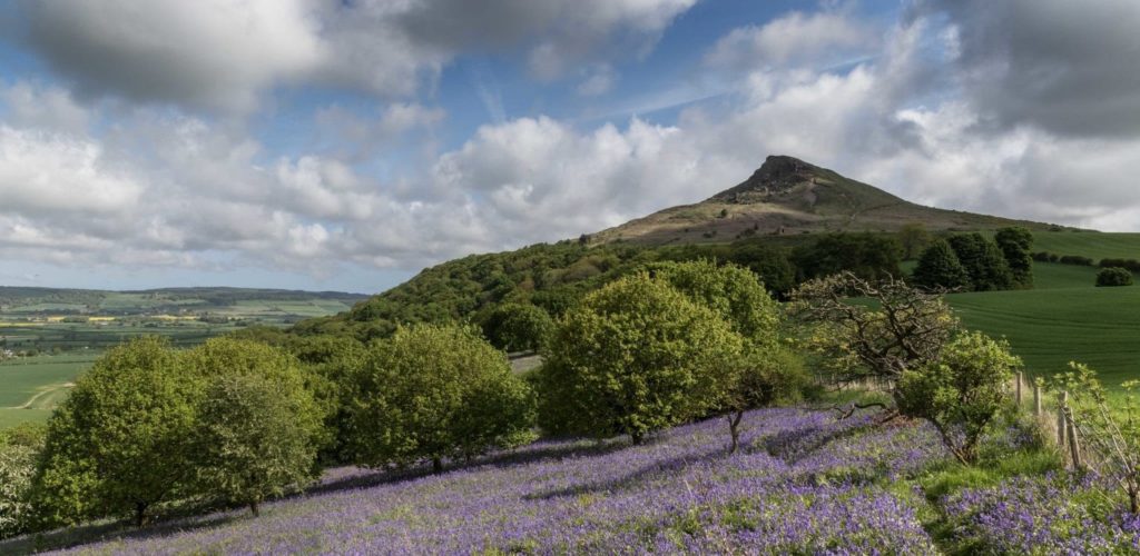 Holiday Cottage North Yorkshire