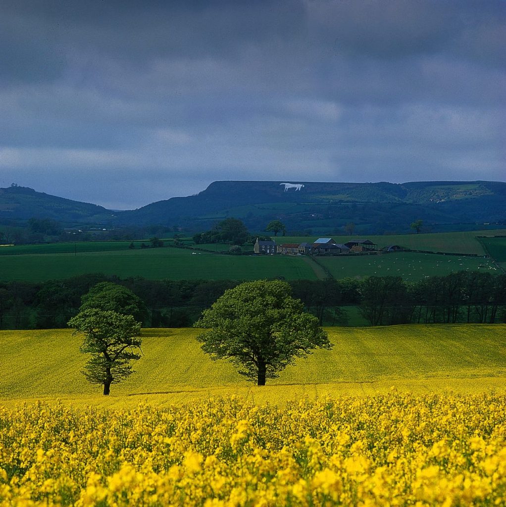 yorkshire holidays