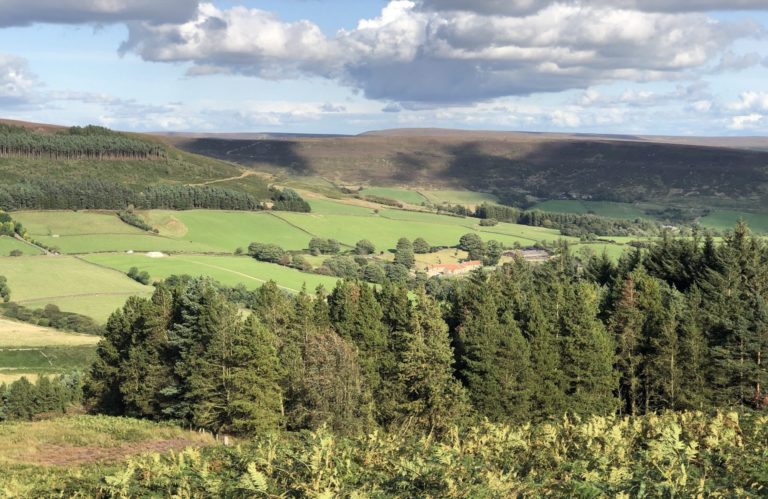 Weavers Cottage North Yorkshire Moors