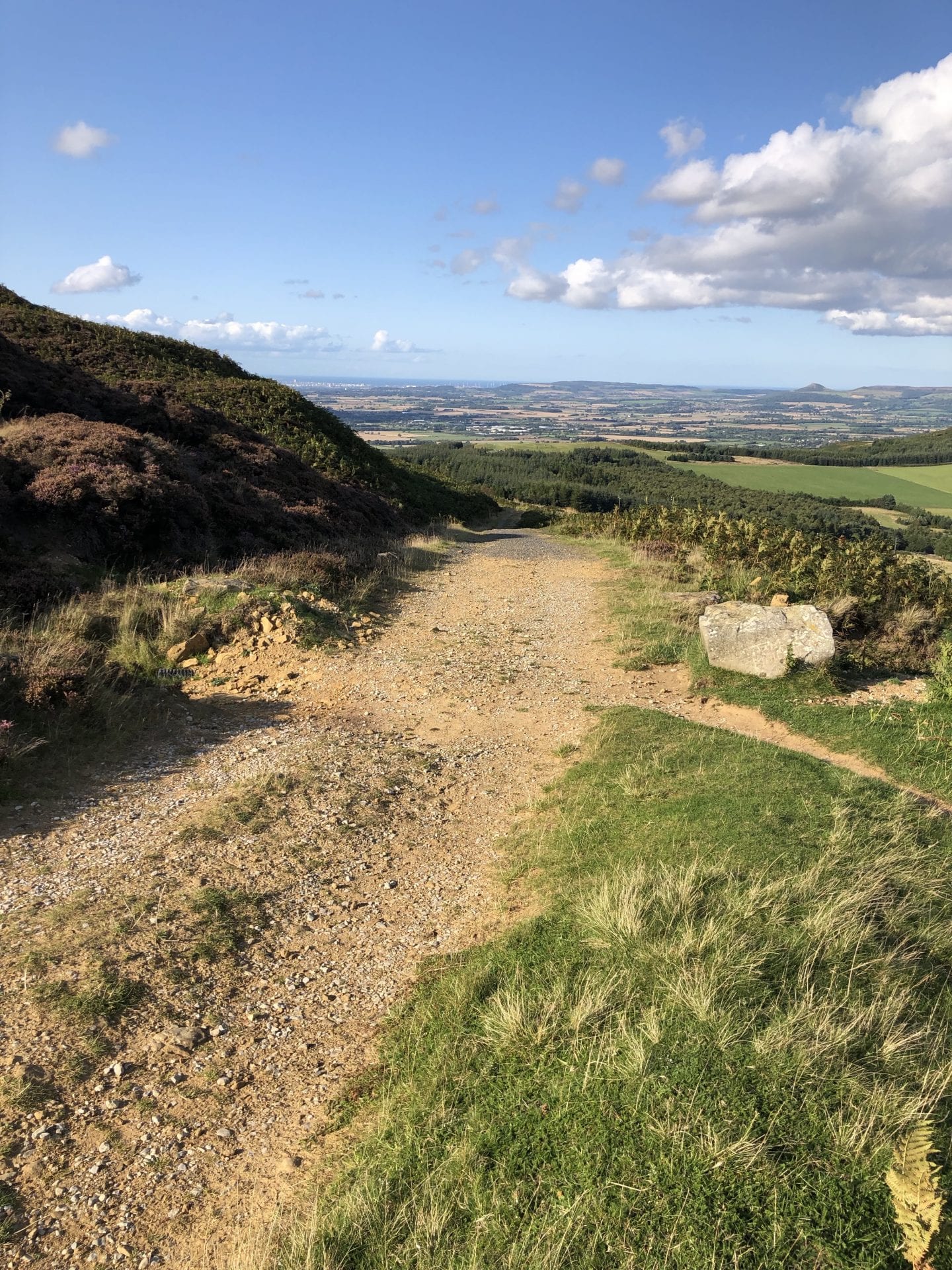 Mountain Biking North York Moors