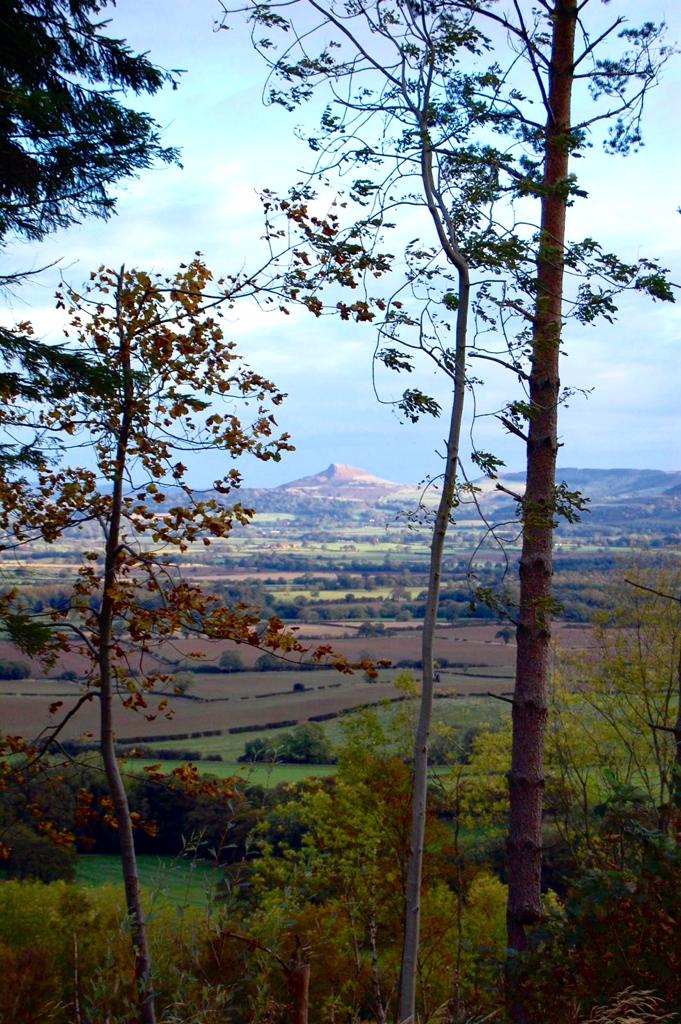 north yorkshire moors