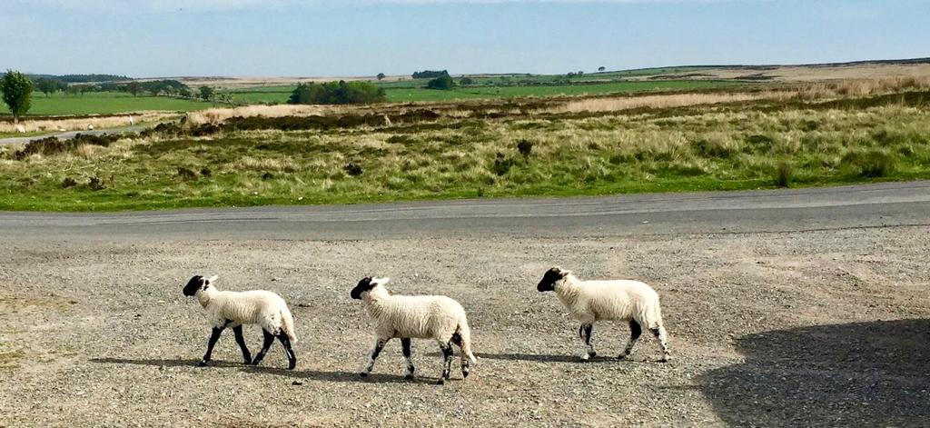 yorkshire holiday cottages