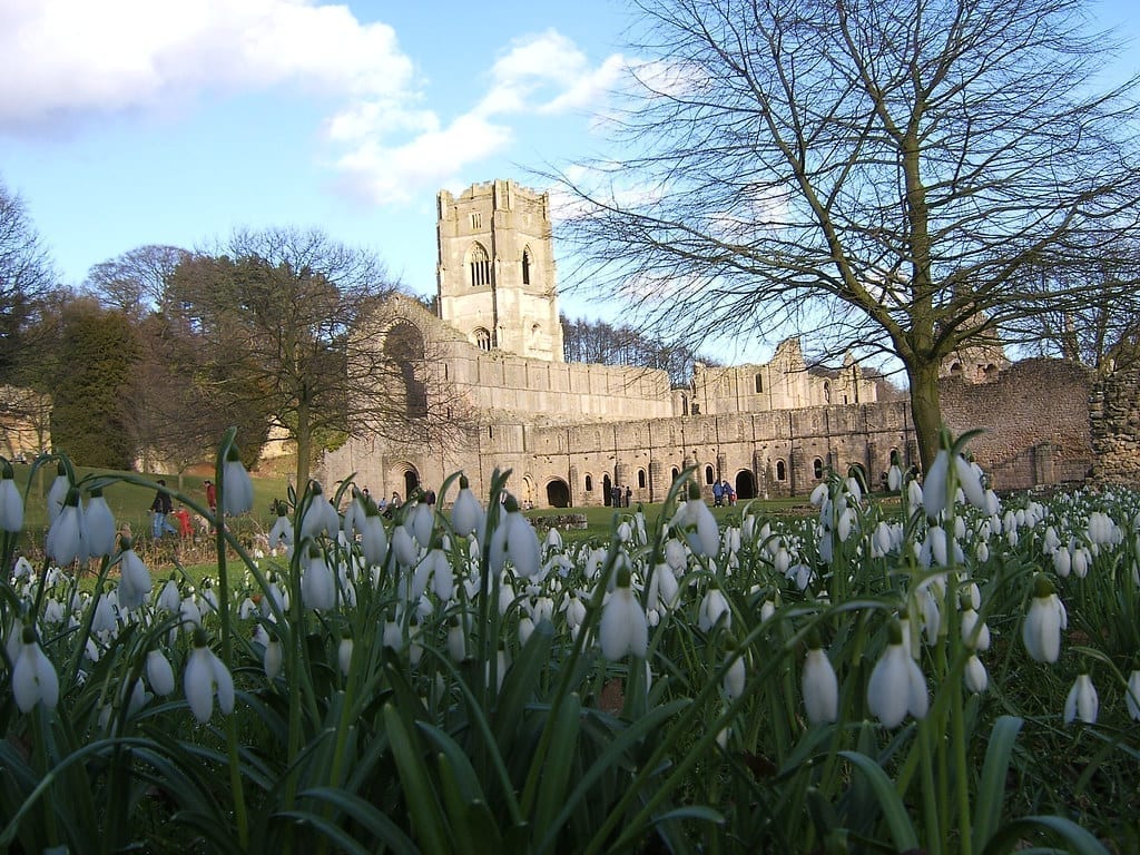 fountains abbey snowdrop walk