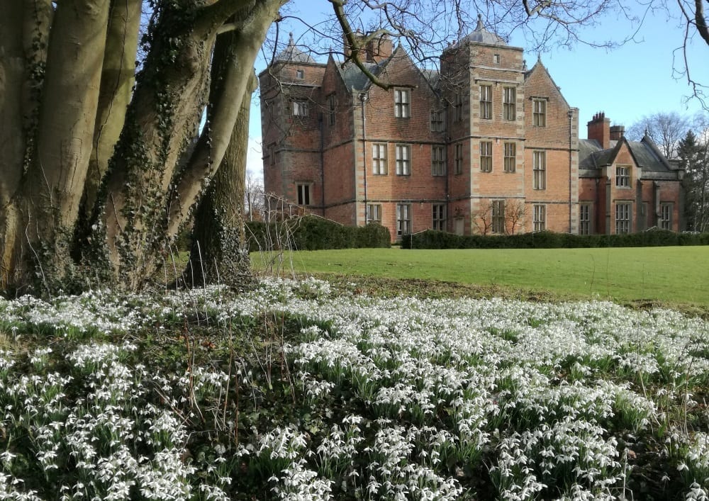 kiplin hall snowdrops photo Judith Harper