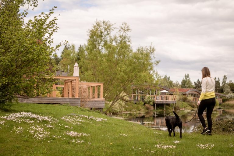 dog friendly holiday yorkshire