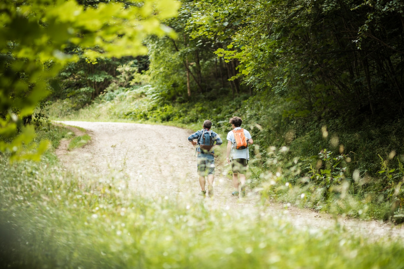 walking holiday yorkshire