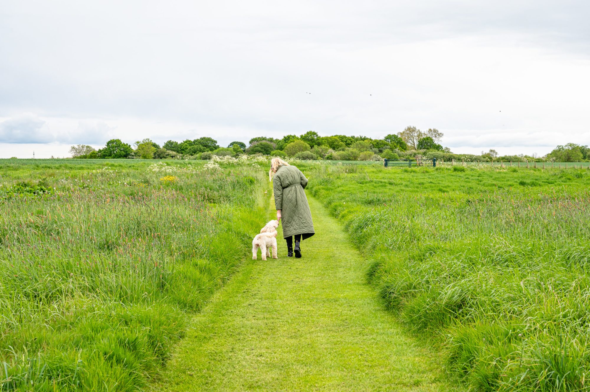 Walking in Barnard Castle