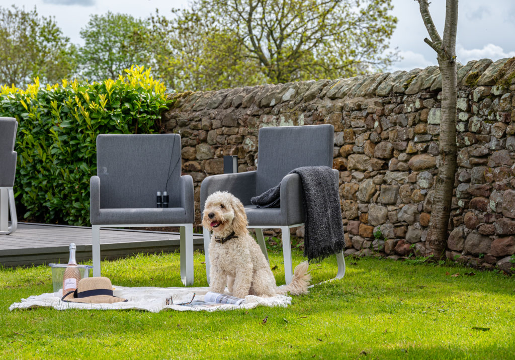 Dog friendly holiday in Yorkshire