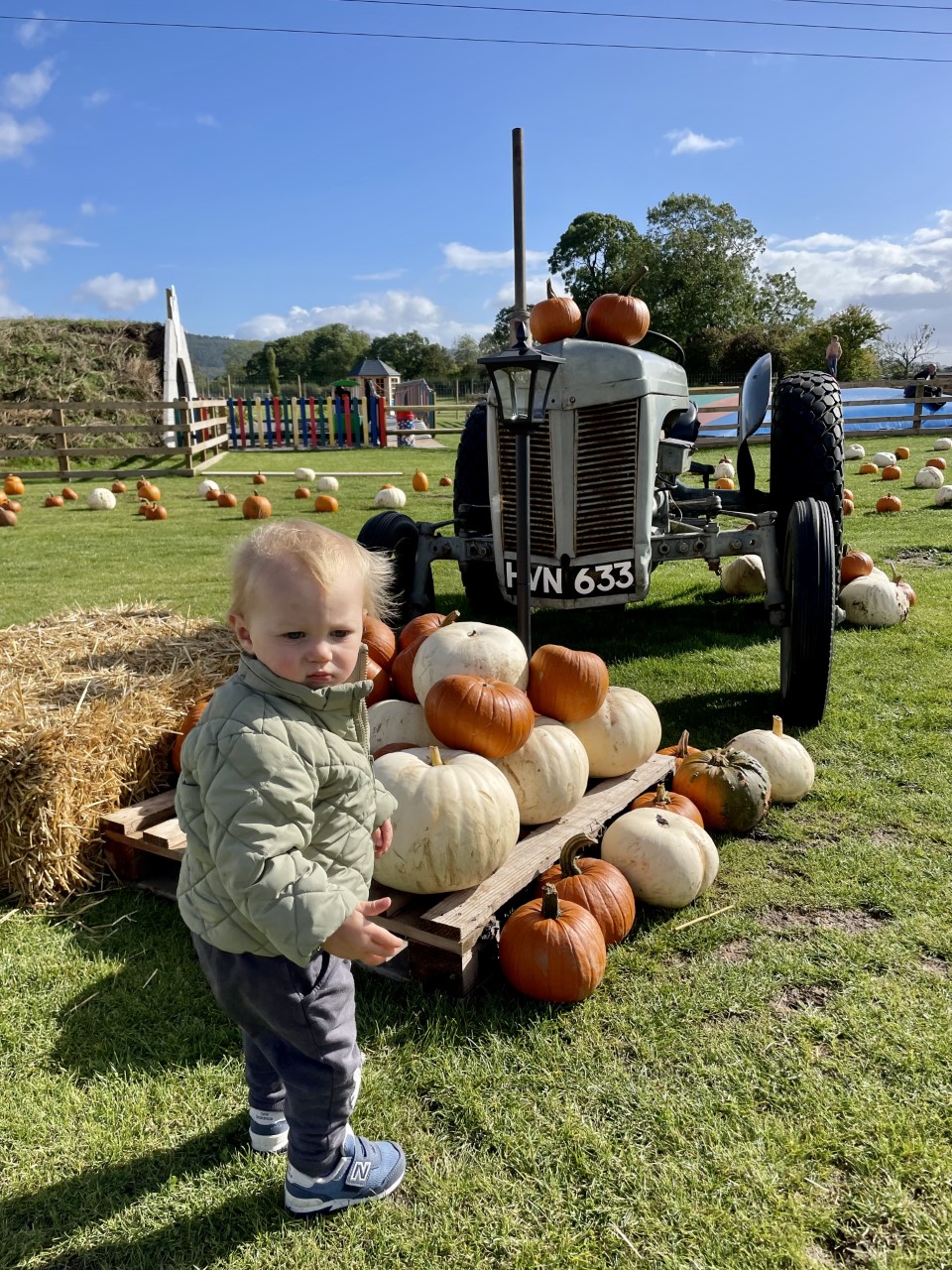 halloween in yorkshire