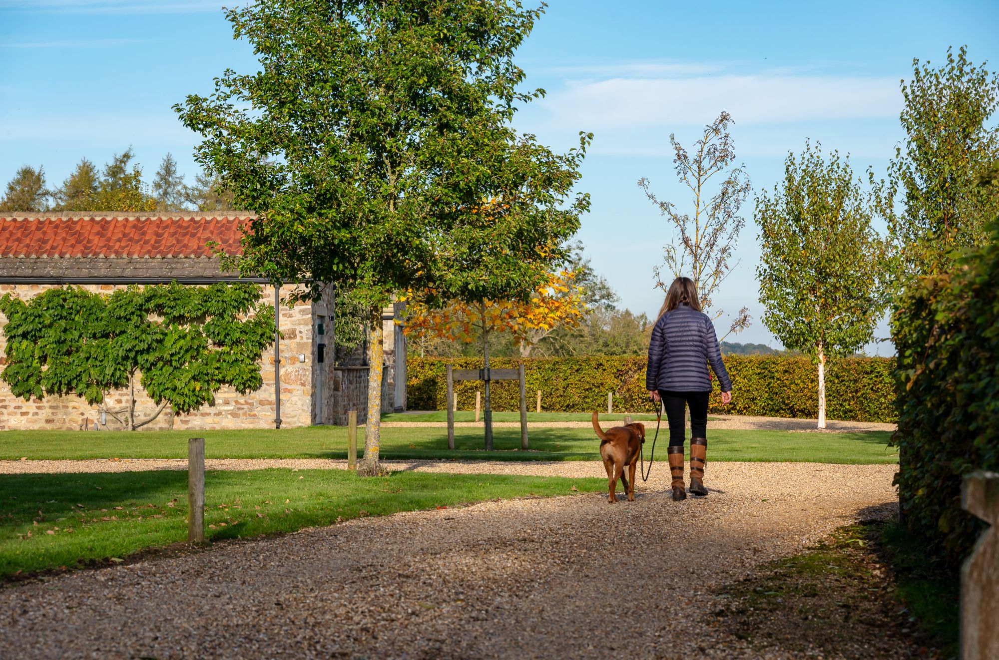 Henry Holly House Farm dog Yorkshire Holiday Cottages