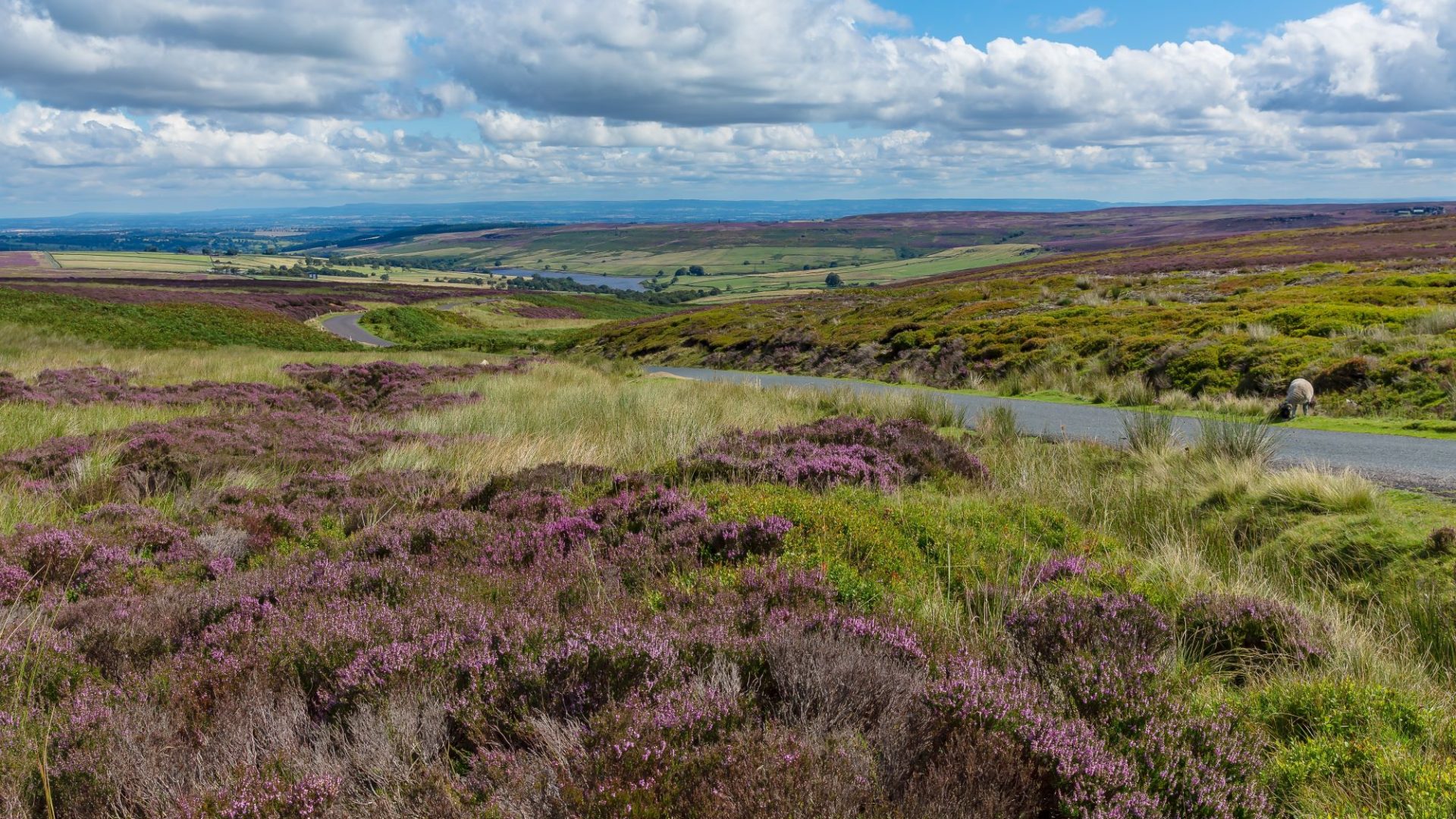 yorkshire dales