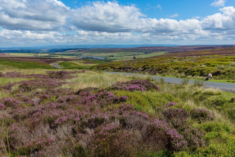 yorkshire dales