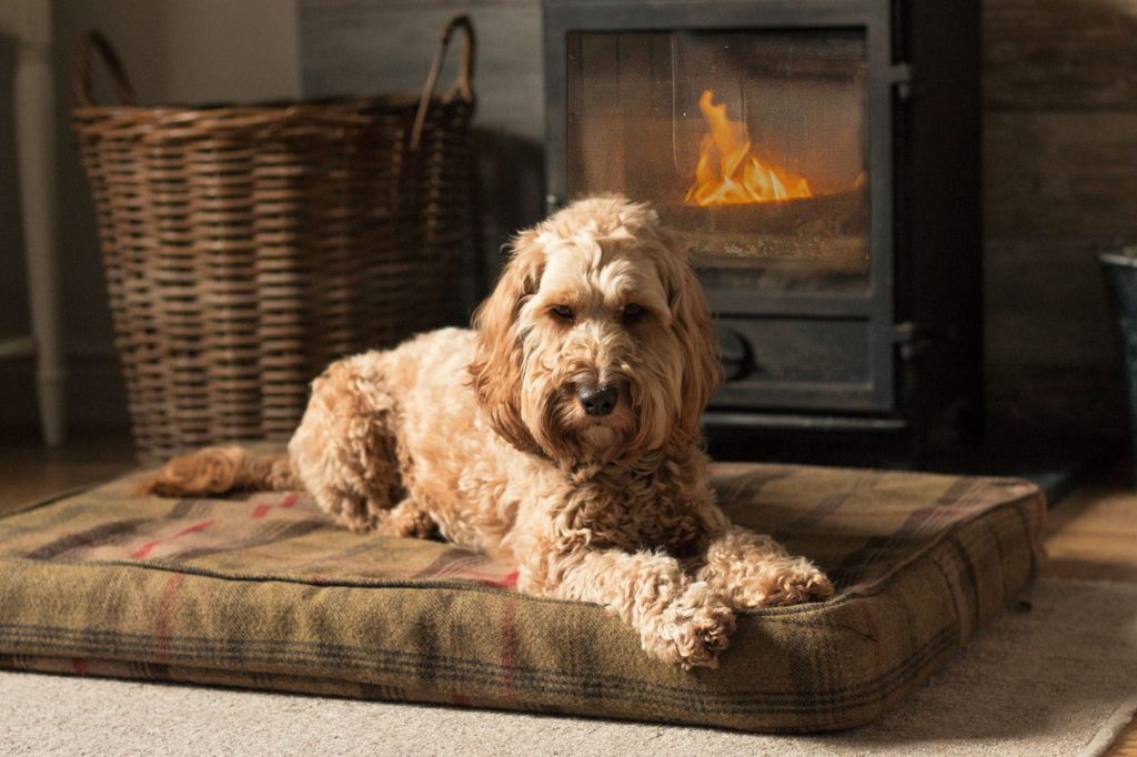 Dog friendly cottages in North Yorkshire