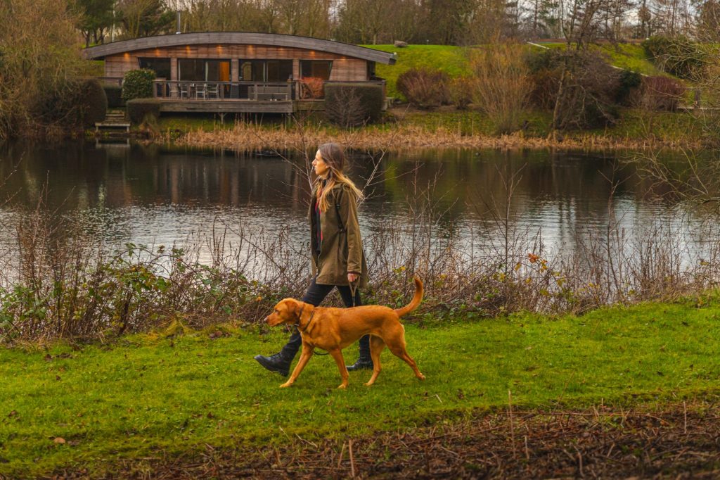 Dog Friendly Lodges