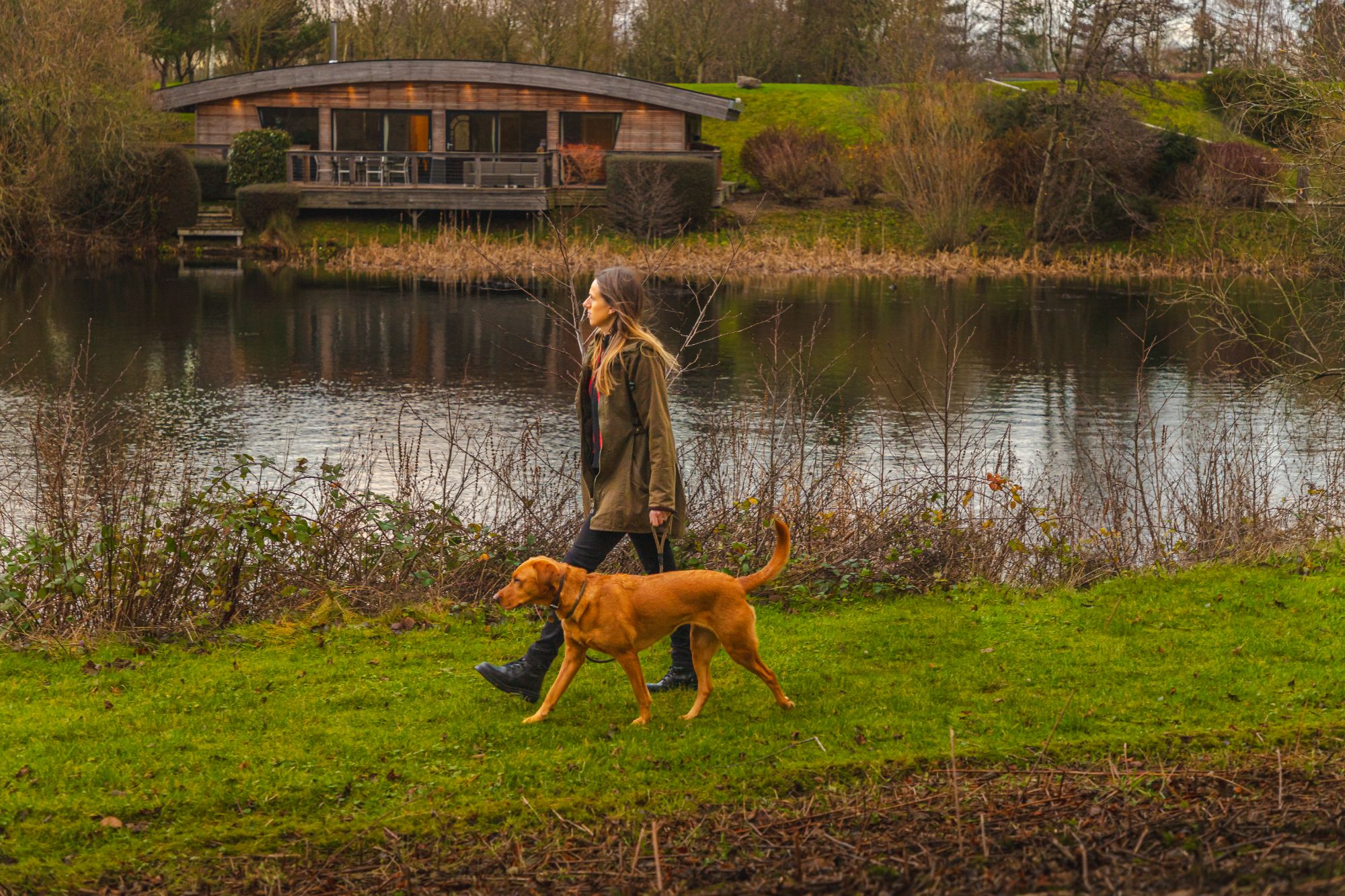 Dog Friendly Lodges