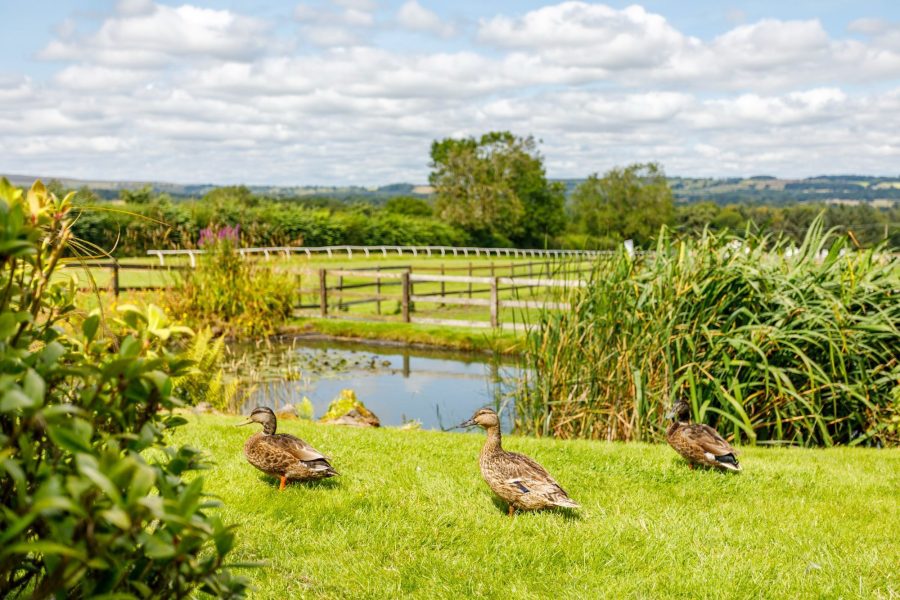 Yorkshire Lodges with Hot Tubs