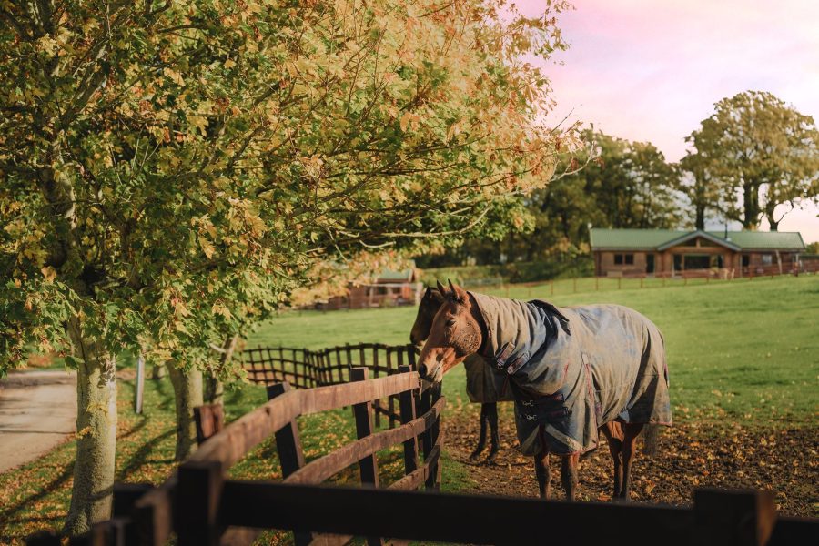 sun hill lodges, yorkshire