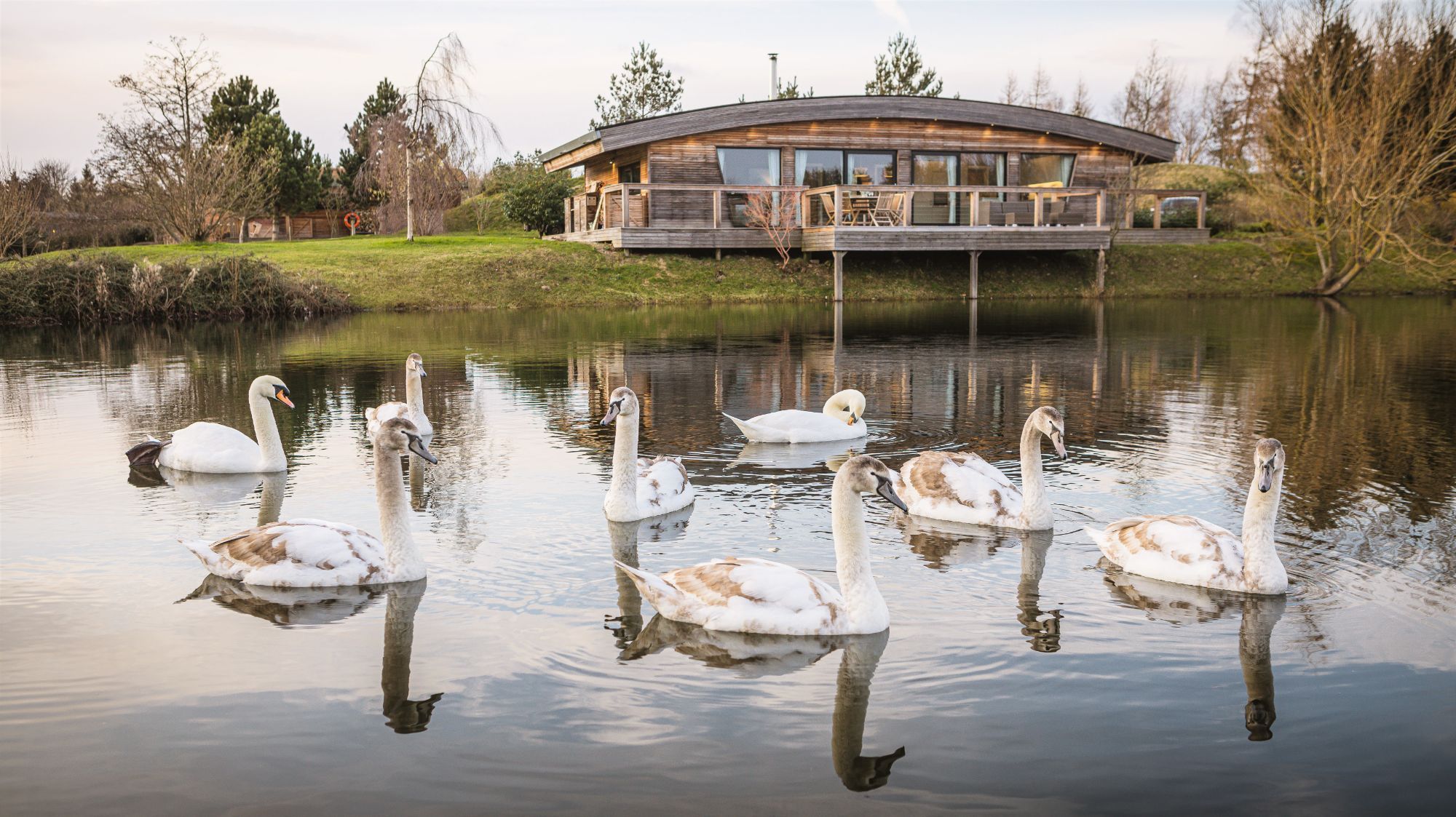 Exterior of Flora lodge at Brompton Lakes with lakeside views, swans, surrounded by trees and countryside views.