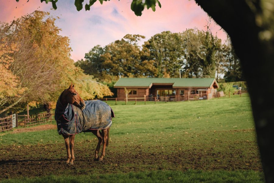 Exterior of Hunters Lodge, a wooden log cabin with horses in the field, garden lawn and countryside views at Sun Hill Lodges.