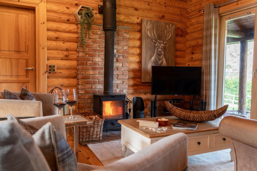 Cosy lounge in Alborada log cabin with leather sofas, log burner and countryside views.