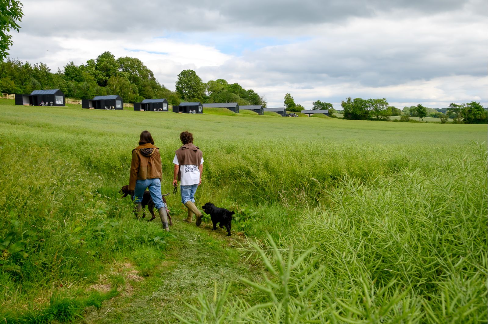 Guests walking in field at Greenbank Lodges